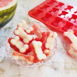 Hundeeis mit Melone einfach und schnell
